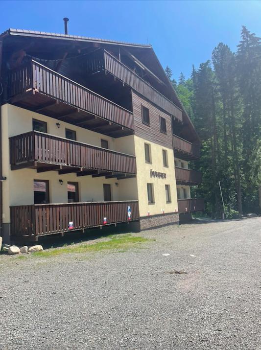 Apartment Anna Chopok, 1 110 M, Highest In Central Europe, On A Hiking Trail To Dumbier 데마노브스카돌리나 외부 사진